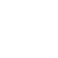 bin-icon